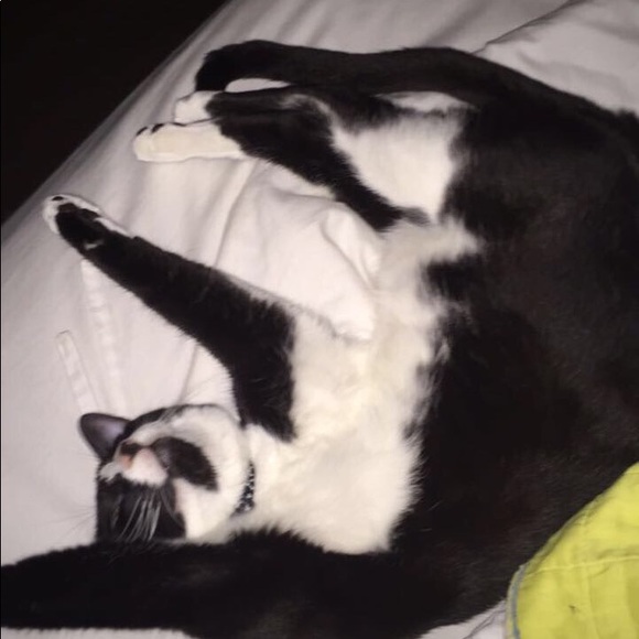 MEET YOUR POSHER - Picture 2 of 6